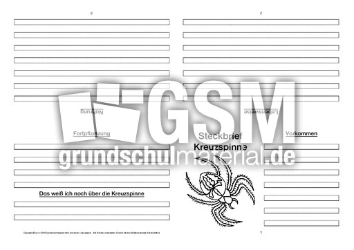 Kreuzspinne-Faltbuch-vierseitig.pdf